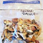 Buy Psilocybin mushrooms online, premium Psilocybin mushrooms