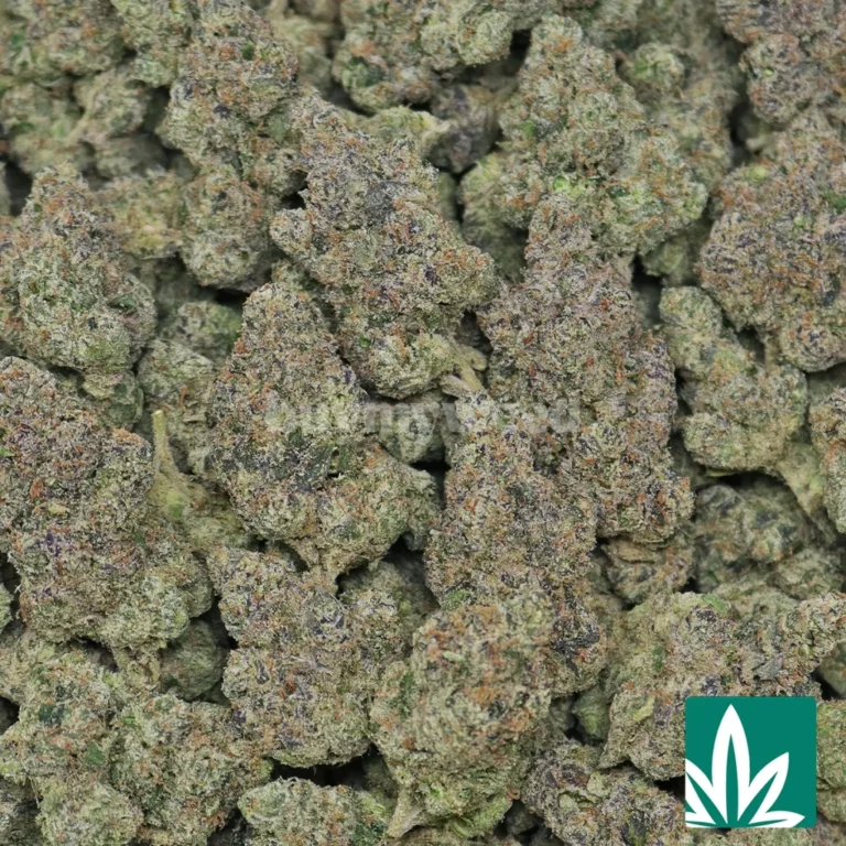 bolo runtz strain​