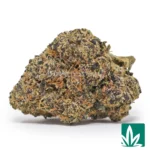 bubblegum gelato strain​
