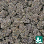 Exotic Blue Nerdz - Image 2