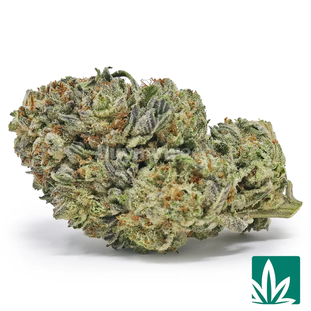 gelato king strain​ gelato king strain​