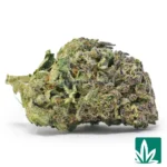 ice cream cake strain​