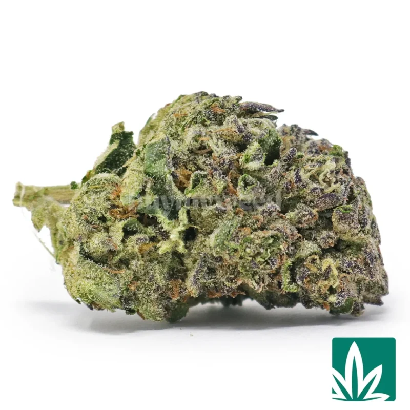 ice cream cake strain​