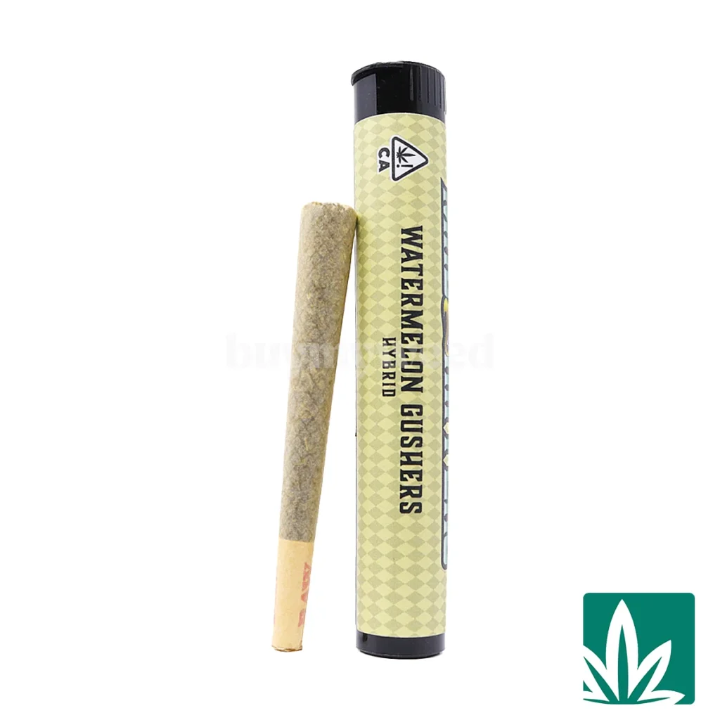 madrippers-watermelon-1024x1024 Mad Rippers Pre-Roll (1g) – Watermelon Gushers - Image 1