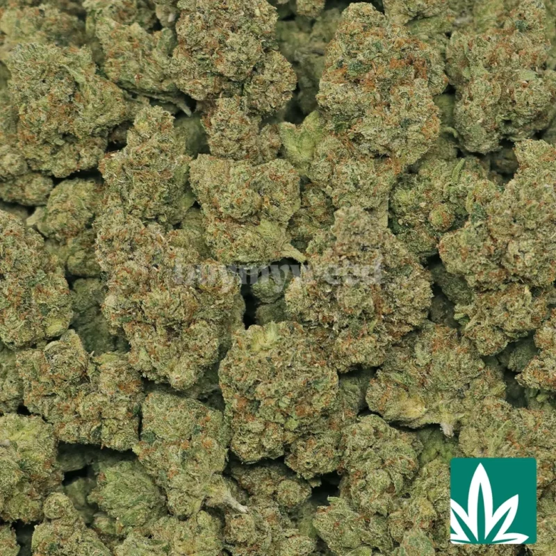 true og strain​
