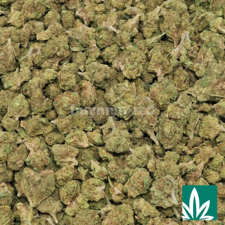 wedding crasher strain​