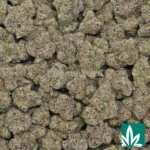 white cherry strain​