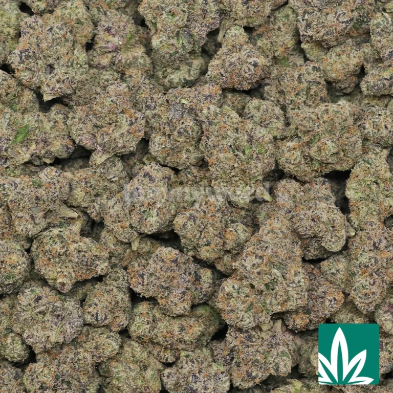 white cherry strain​