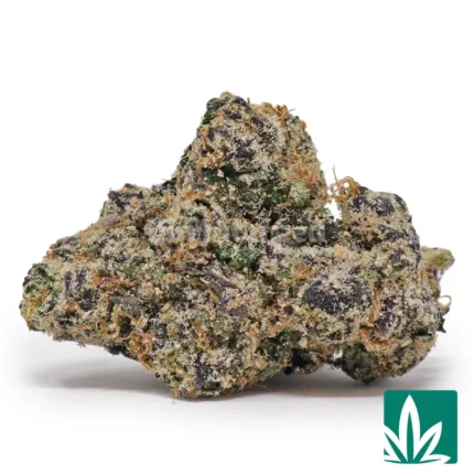 white cherry strain​