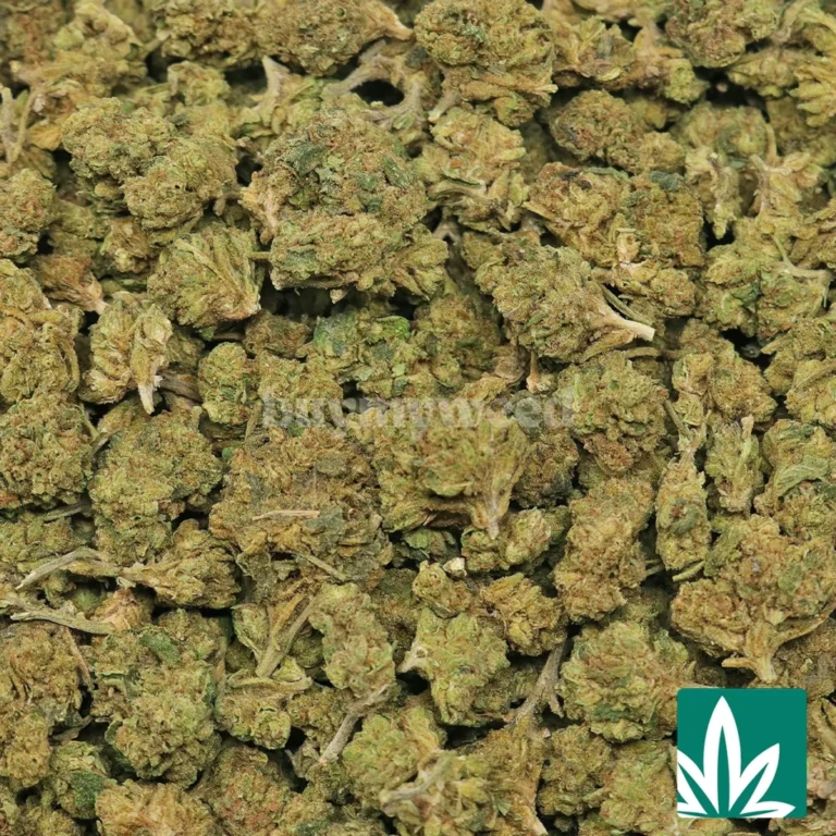 white widow strain near me​