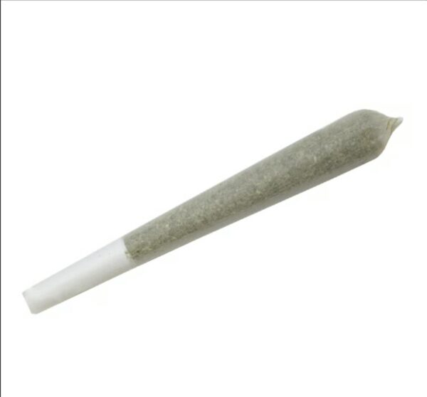 A Golden State | Garlic Blossom | Joint | 1g