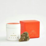 A Golden State | Lava Flower | Big Buds | 3.5g