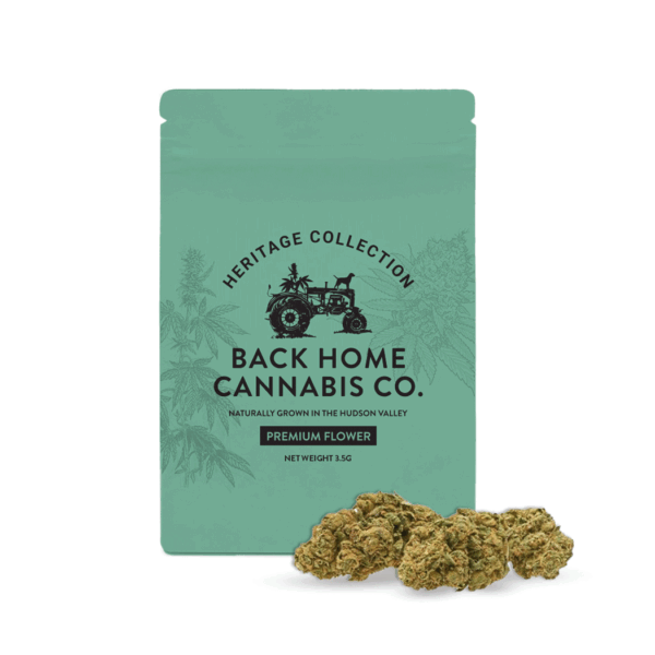 Back Home Cannabis Company | Jack Herer - 3.5g - Flower