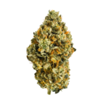 Bermuda Triangle (IH) - Image 3