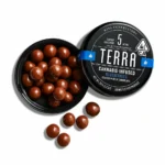 Chocolate Blueberries (H)