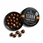 Chocolate Espresso Beans (H)