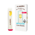 Dutch Treat (S) - Live Rosin All-in-One