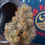Fig Farms Krypto Chronic 1