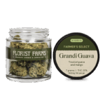 Florist Farms | Grandi Guava - 7g - Flower