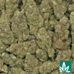Gas Berry - Image 2