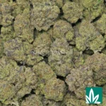 garlic cookies strain​