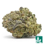 garlic cookies strain​