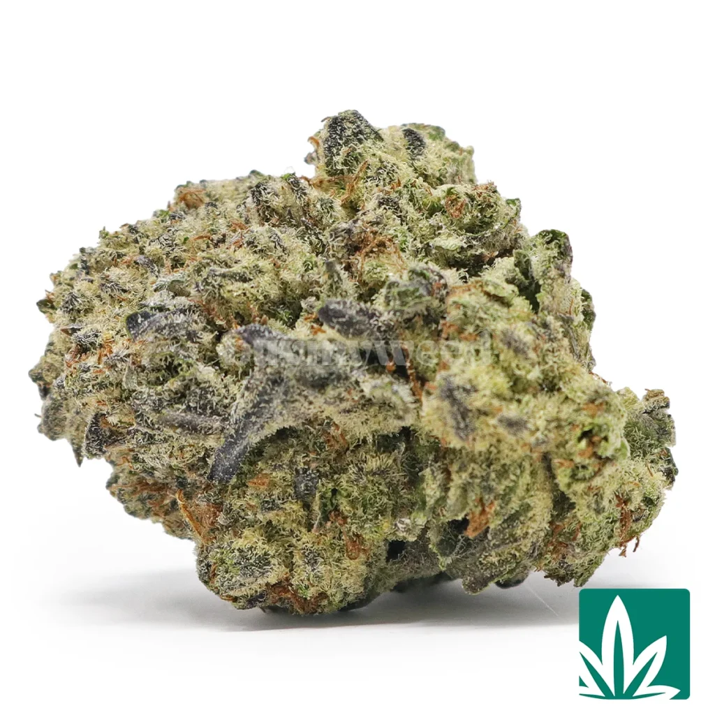 garlic cookies strain​ garlic cookies strain​