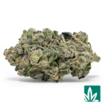 kush mintz strain​