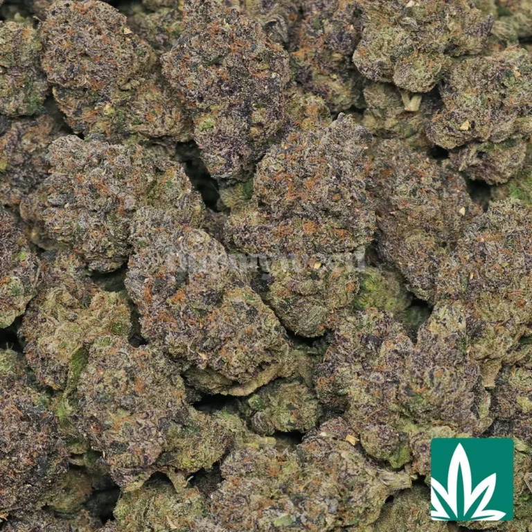 lipsmackerz strain​