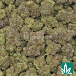Mochilatto - Image 2