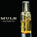 Mule Live Resin Glass Cartridge | Purple Flameberry - Hybrid 1g