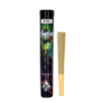 Permanent Shade (IH) - Pre-Roll
