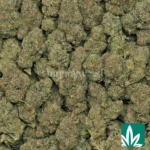 Prezy Runtz - Image 2