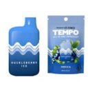 TEMPO HUCKLEBERRY ICE