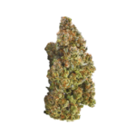 Terry T (≈20:1 High CBD) - Image 3