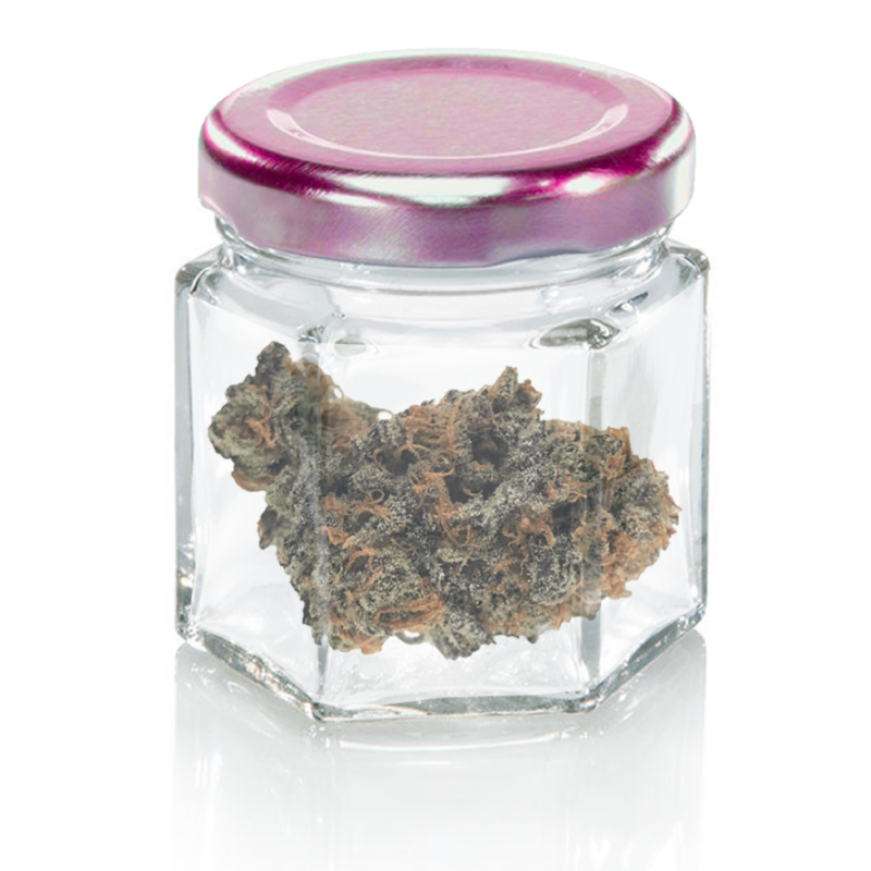 King Louis XIII
